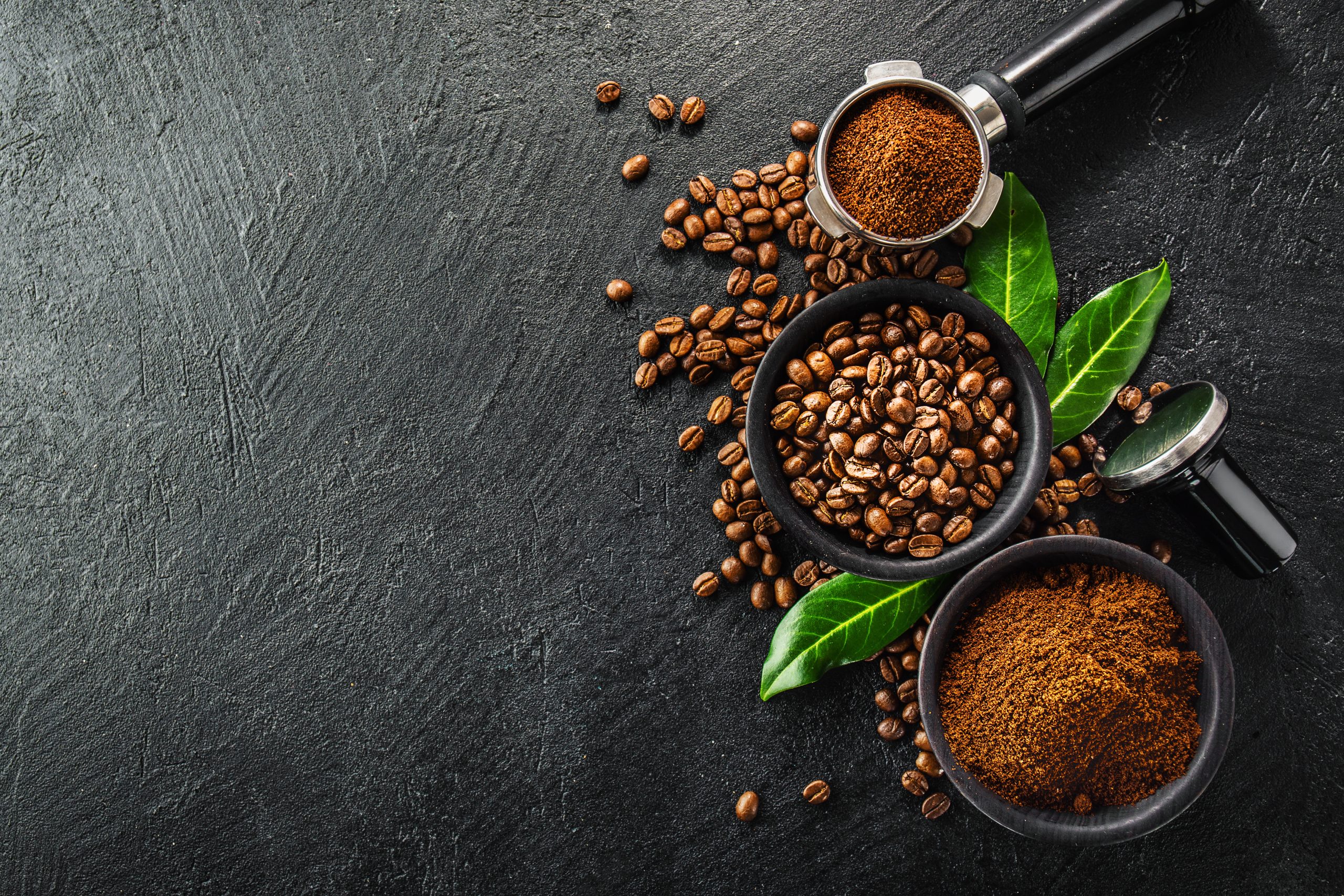 コーヒープラント２